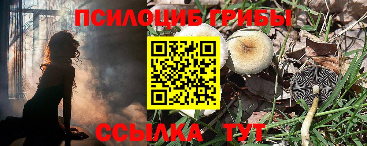 Галлюциногенные грибы MAGIC MUSHROOMS Буйнакск