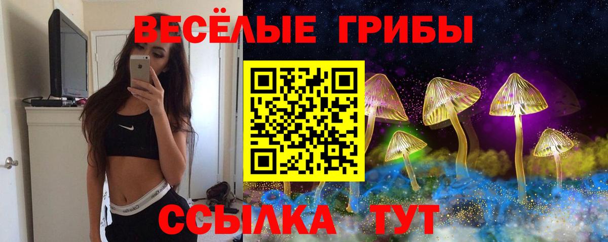 Буйнакск  Псилоцибиновые грибы Psilocybine cubensis  Вход с VPN 